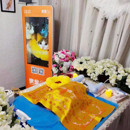 猫咪“花呗”